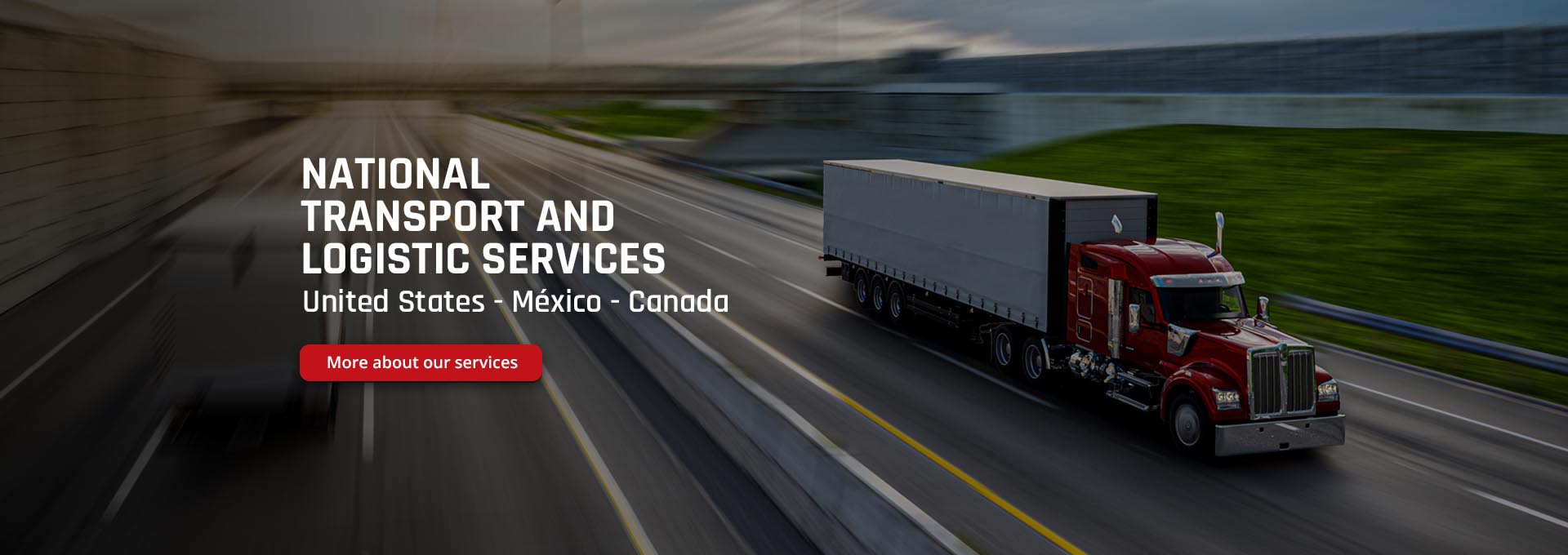 International transport and logistic services